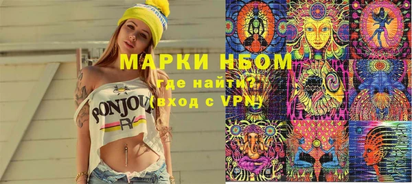 индика Абинск