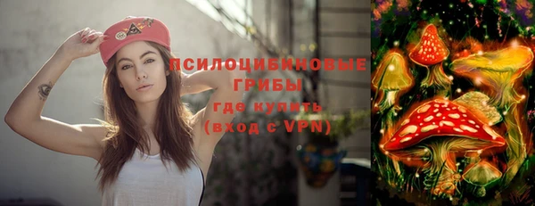 индика Абинск