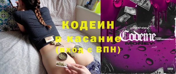 индика Абинск