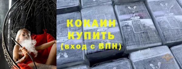 индика Абинск