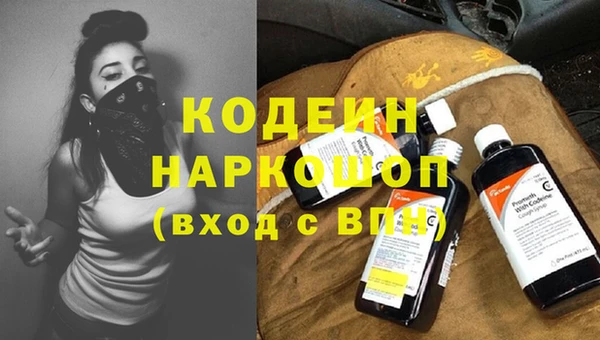 индика Абинск