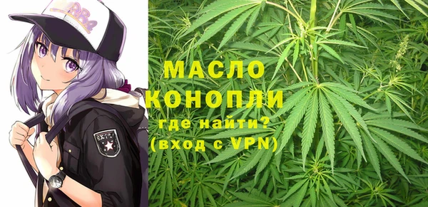 индика Абинск