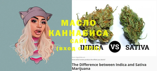 индика Абинск