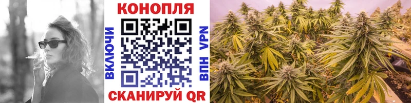 Бошки марихуана семена  купить наркоту  Клинцы 